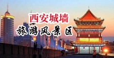 www人妻成人福利中国陕西-西安城墙旅游风景区